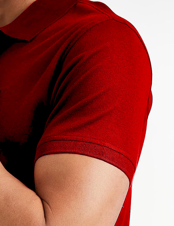 Polo T-Shirt for Men (Red)